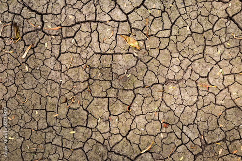 Natural dry soil crack texture background