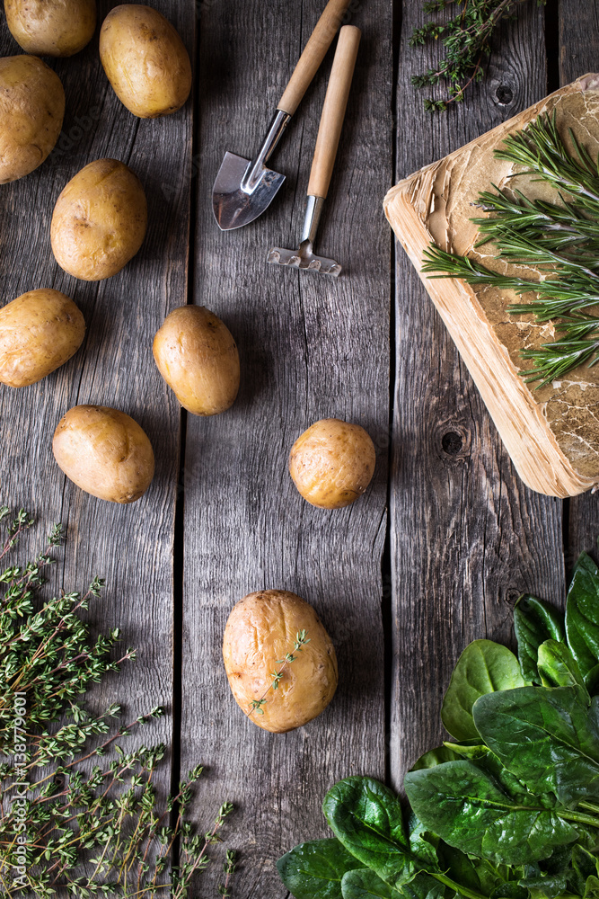 Potato and green potherbs on rustic background