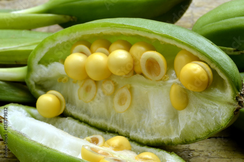 Fototapeta Naklejka Na Ścianę i Meble -  Kurjenmiekat Iris plant Schwertlilien Ирис  растение سوسن Botanica Հիրիկ Iris-slægten Fiore 鸢尾属 Giaggiolo Chi Diên vĩ Nőszirom 붓꽃속 אירוס Lis geslacht アヤメ属 