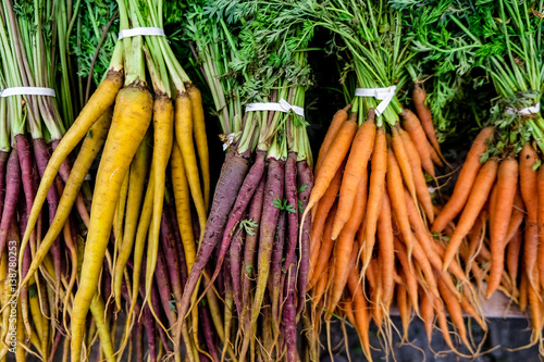 Multi-Colored Carrots 