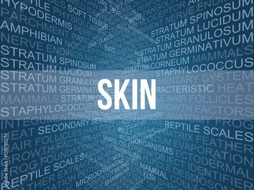 Skin photo