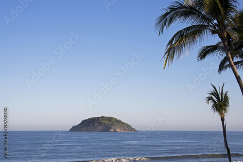  Island with palm trees