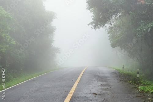 Foggy road in the morning at National Park