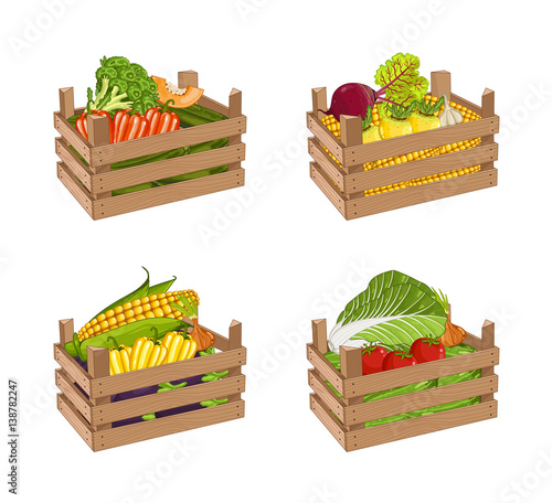 Wooden box full of vegetable set isolated vector illustration. Fresh vegetable, organic farming, delivery farm product, grocery store. Corn, pepper, radishes, eggplant, tomato, cabbage in wooden crate
