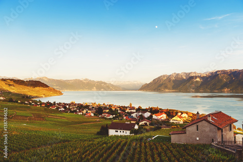 Lavaux vineyards in spring, Switzerland