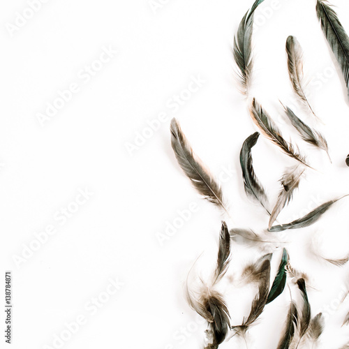 Bird feathers pattern. Flat lay, top view © Floral Deco