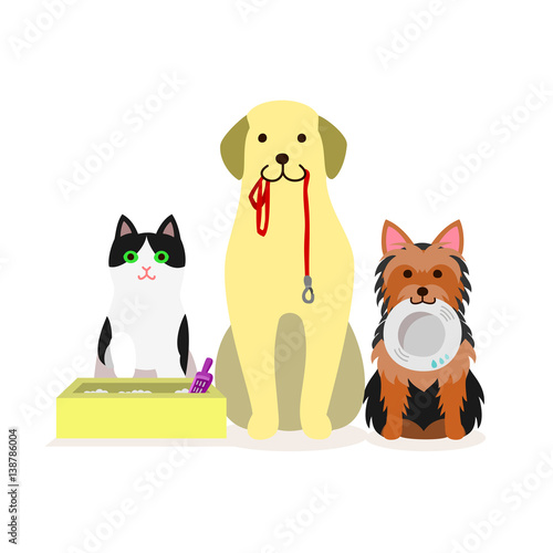 Small group of dogs and cat who needs services