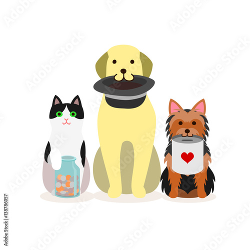 Small group of dogs and cat with donation box