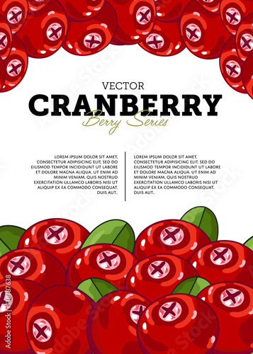 Organic berry banner with juicy cranberry vector illustration. Natural fruit poster, healthy sweet diet, vegetarian nutrition. Fresh berry fruit advertising promo with ripe cranberry and leaves