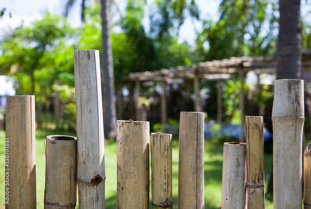 Old bamboo fence in a tropical country. Texture background
