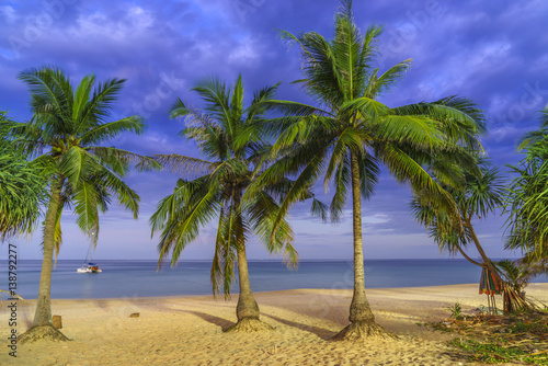tropical beach with coconut palm tree © Netfalls