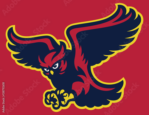 Owl bird Flying