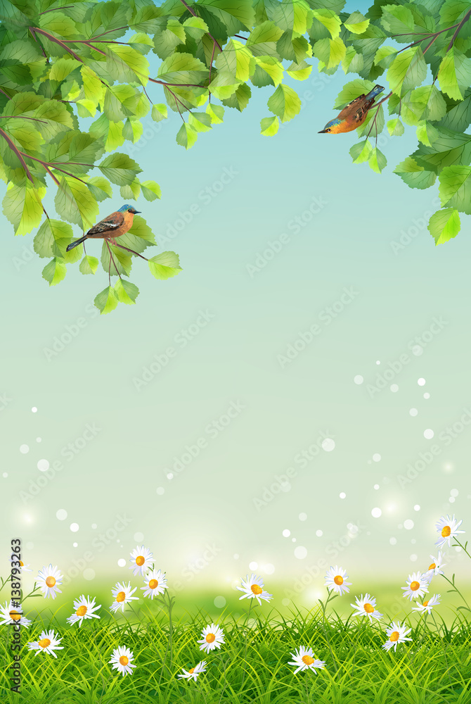 Fototapeta premium Vector Summer Landscape