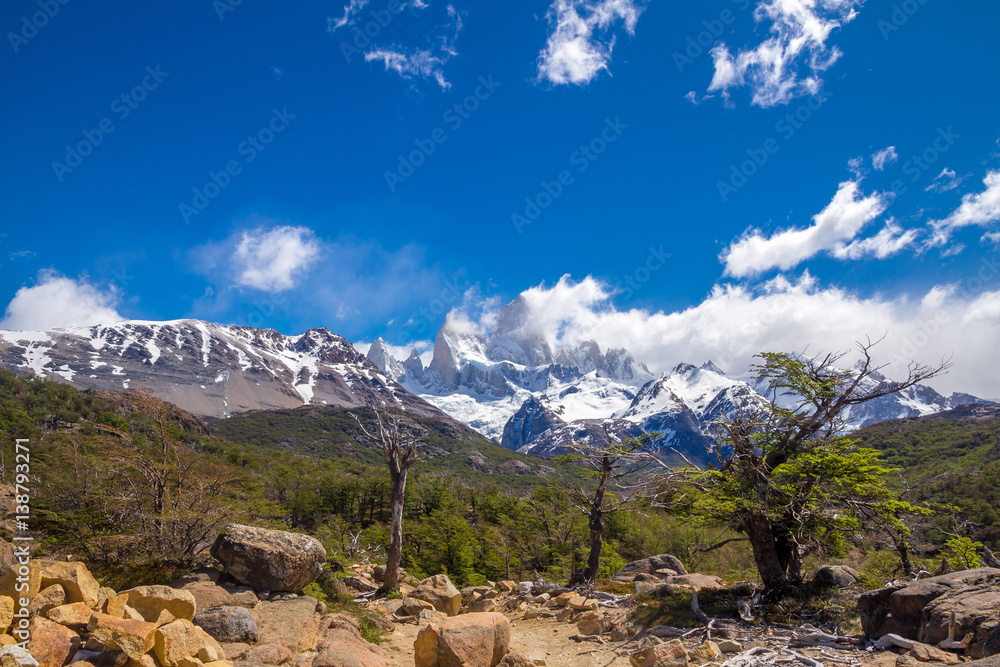 Landscape with trees, green grass and beautiful snow covered Fitz Roy mountain.