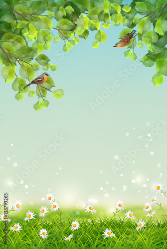 Vector Summer Landscape