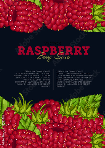 Organic berry banner with juicy raspberry vector illustration. Natural fruit poster, healthy sweet diet, vegetarian nutrition. Fresh berry fruit advertising promo with ripe raspberry and leaves