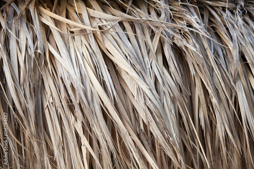 closeup of thatch roof background