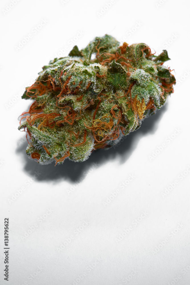 Close up of prescription medical marijuana bud Close up of prescription medical marijuana bud