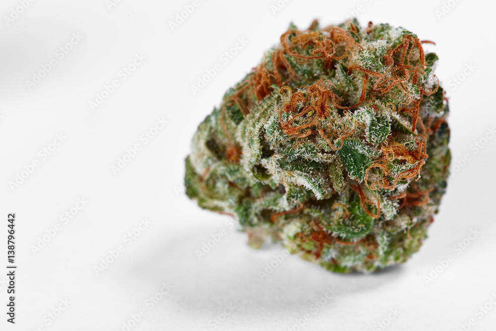 Close up of prescription medical marijuana bud Close up of prescription medical marijuana bud