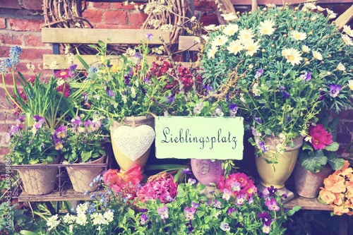 Frühlingsblumen - Blumentöp...