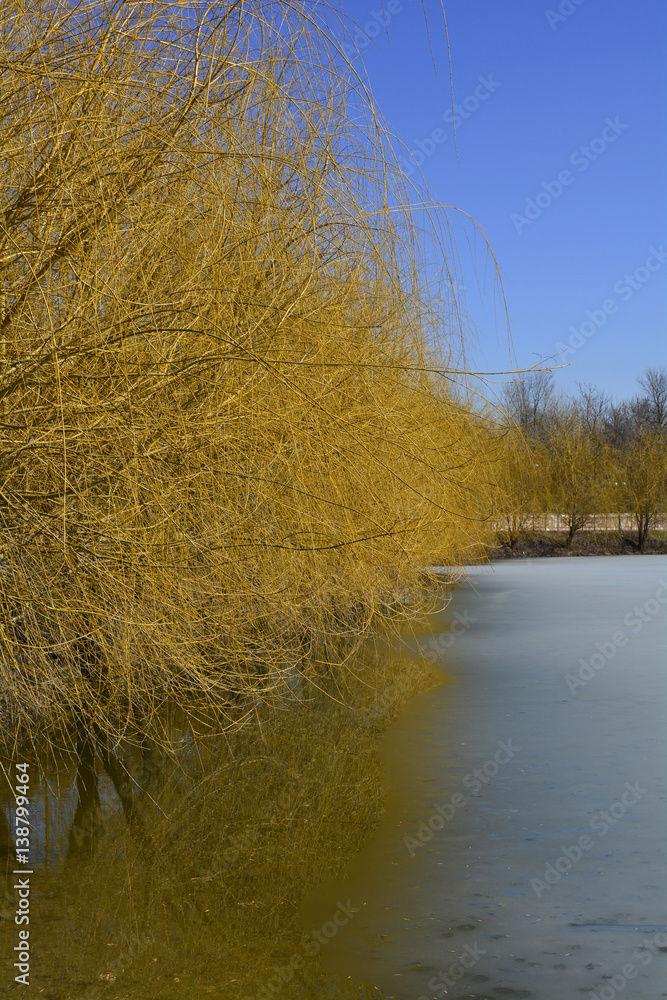 Fototapeta premium autumn