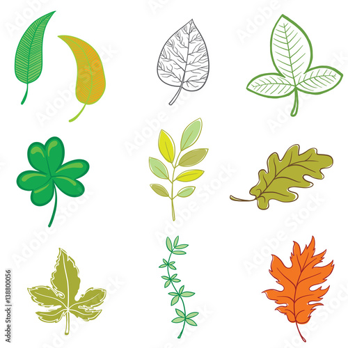 Vector set of various leaves of different colors on a white background. Wallpaper, textile, tissue, background. Vector illustration.
