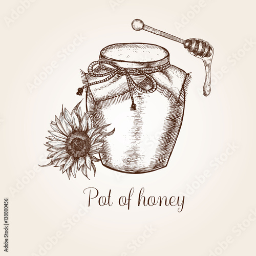hand drawn pot of honey 