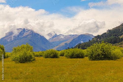 Meadow Field at Glenorchy South Island New Zealand