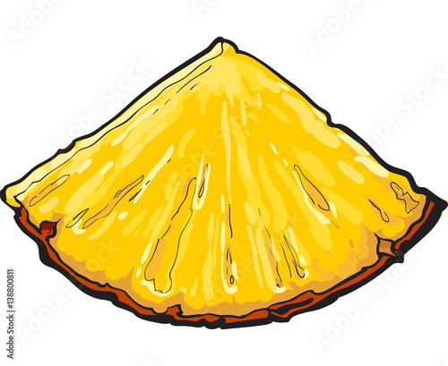 Unpeeled pineapplewedge, triangular slice, sifde view, sketch style vector illustration isolated on white background. Realistic hand drawing of fresh, ripe pineapple wedge or slice