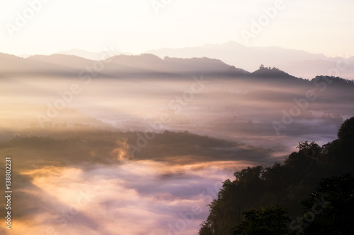 Fototapeta Naklejka Na Ścianę i Meble -  Sunlight on foggy valley at morning