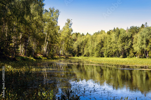 summer landscape, the river with the reflection of the forest in the water, Russia