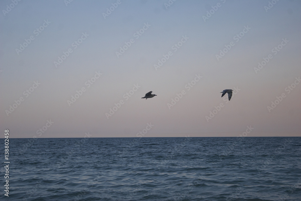 shades of black sea
shades of black sea