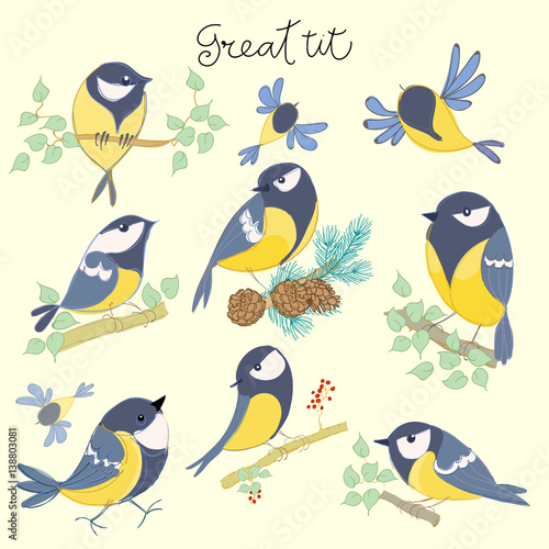 Cartoon birds. Great tit set. Vector illustration