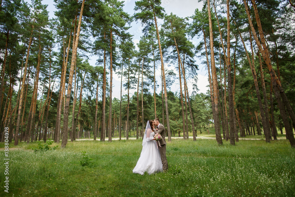 Wedding couple embracing in forest. Rustic wedding with stylish bride and groom