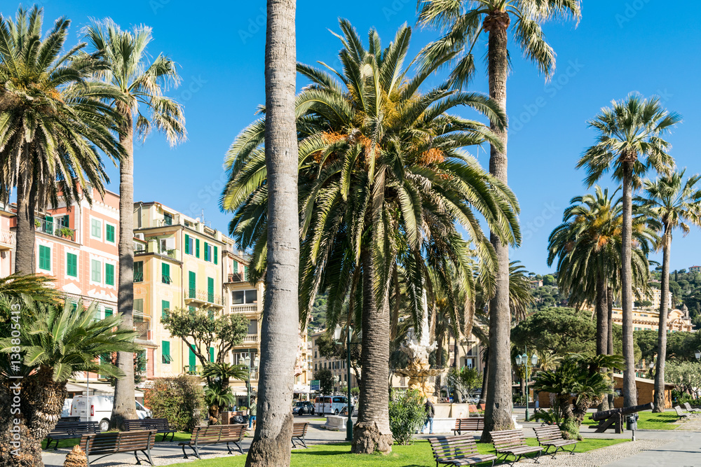 Palm trees at Santa Margherita Ligure, Cinque Terre, Ligurian coast, Italy.