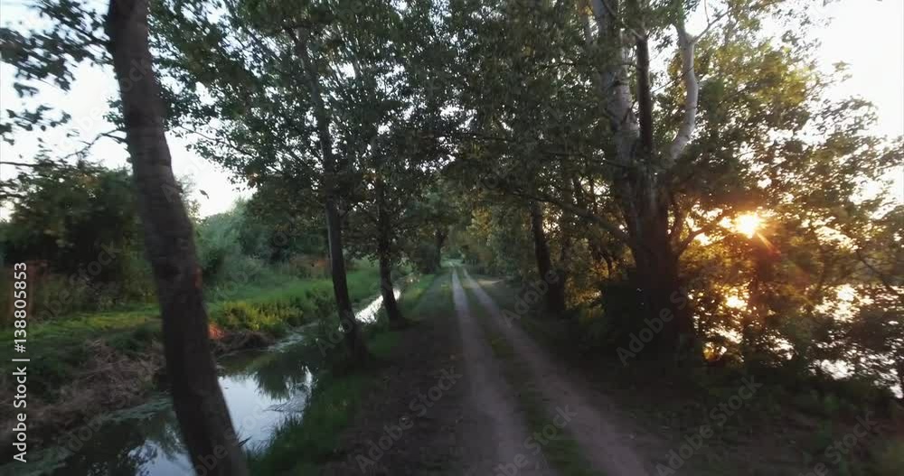 Steadicam flies through tree row. Stabilized video of summer walk with beautiful sun beams thru trees. Steadicam flies through tree row. Stabilized video of summer walk with beautiful sun beams thru trees.