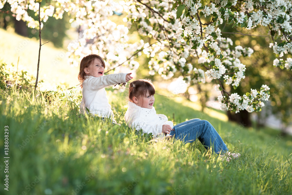 Gentle sisters hug apple blossom, sunny childhood Gentle sisters hug apple blossom, sunny childhood