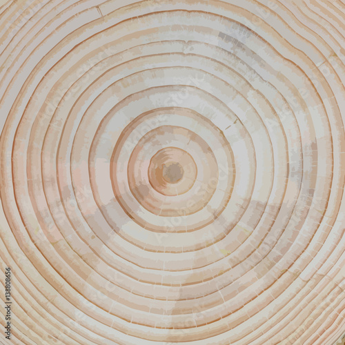 Holz-Hintergrund: Wachstumsringe einer Kiefer