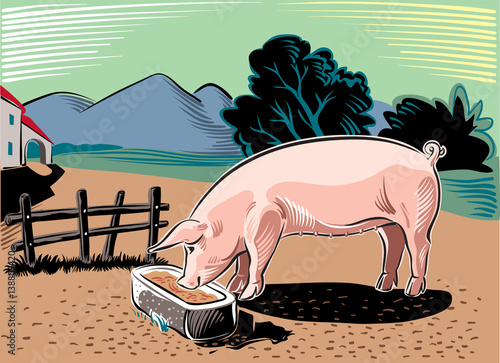 Pork, while eating in the manger.