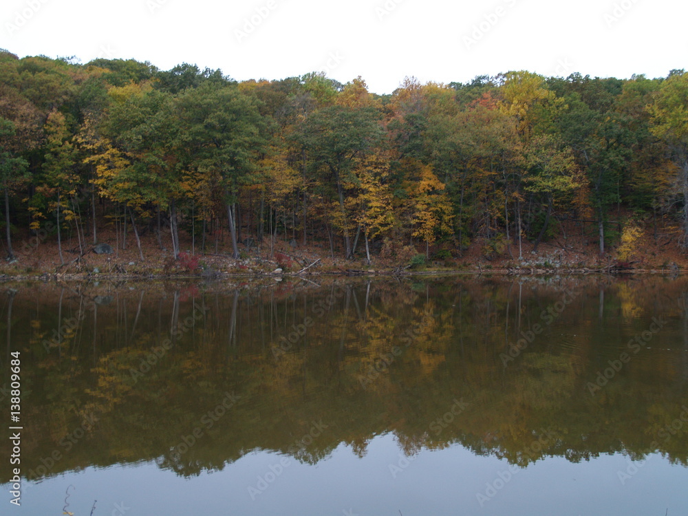 Colorful autumn trees reflected in lake