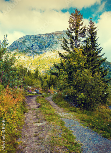 Mountain road at sunset with blue cloudy sky. Spruce trees with mountain on background.