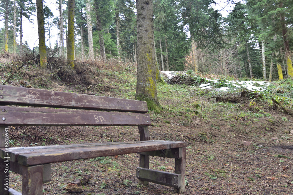 Wooden Bench in Golcuk National Park, Bolu, Turkey