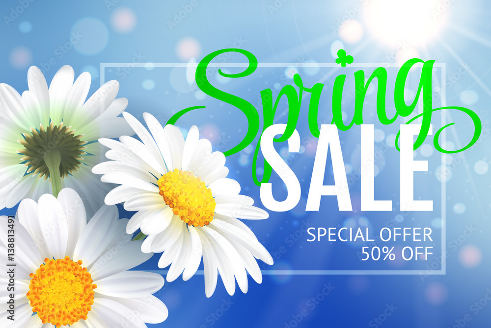 Springr sale concept. Summer background with chamomile and blue sky background. Template for banners, web, flyer, voucher. Vector illustration. Springr sale concept. Summer background with chamomile and blue sky background. Template for banners, web, flyer, voucher. Vector illustration.