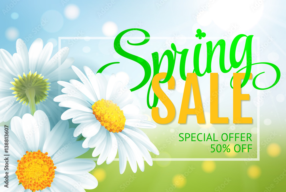 Springr sale concept. Summer background with chamomile and blue green ...