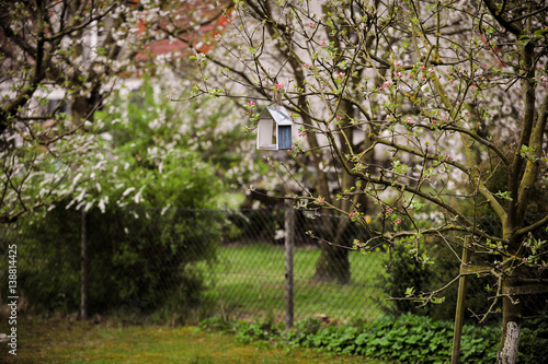 Garten im Frühling © ilfotokunst