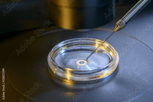 IVF Microscope Closeup