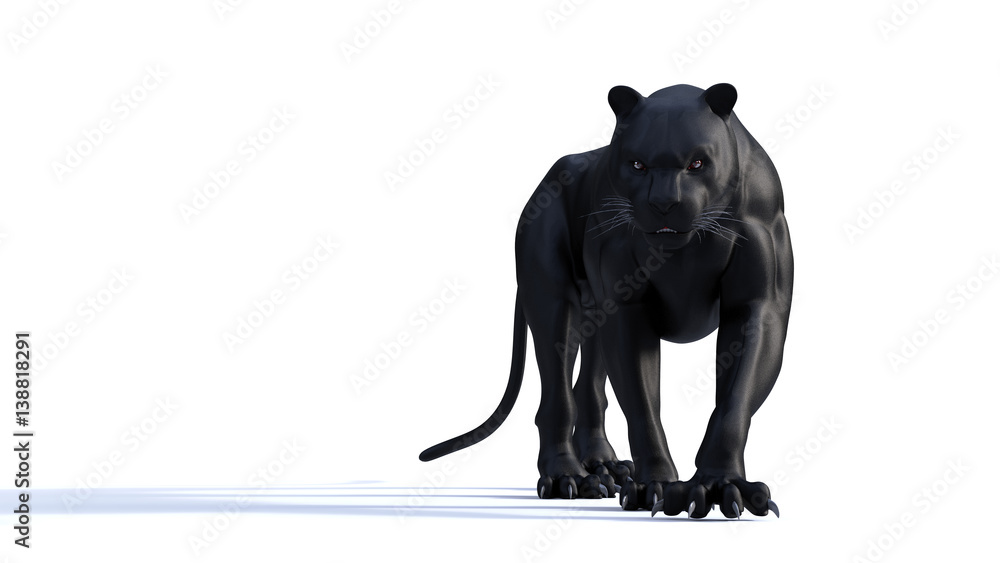 Obraz premium Black panther isolate on white background, Black tiger, 3d Illustration, 3d render