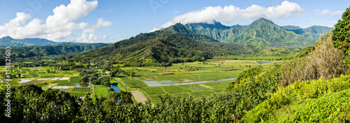 Kauai Landscape