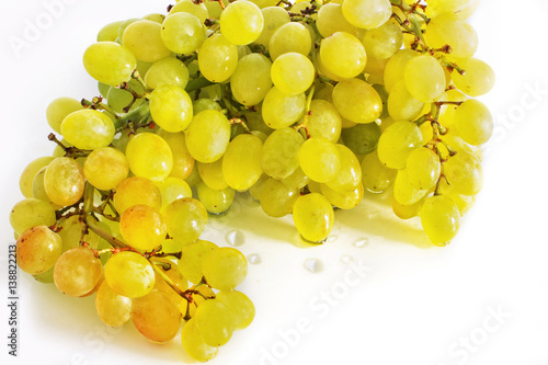 Beautiful vine on a white background. Green grapes. Wet grapes