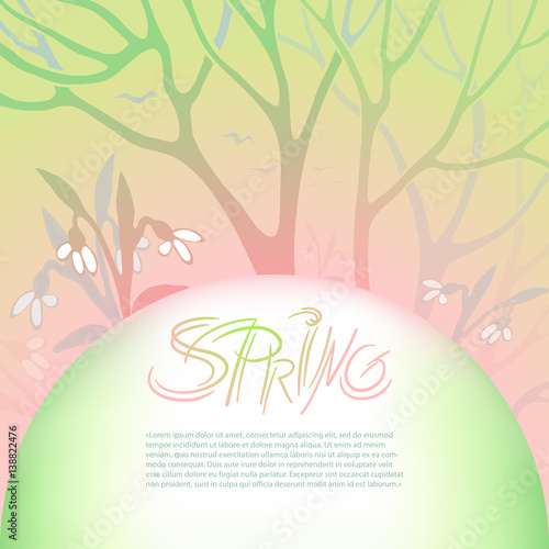 Spring gentle vector illustration. March, flowering snowdrops in a snowy forest. Branches of trees and flowers. Semicircle space for text. Elements design for spring banners, sales, advertisement.